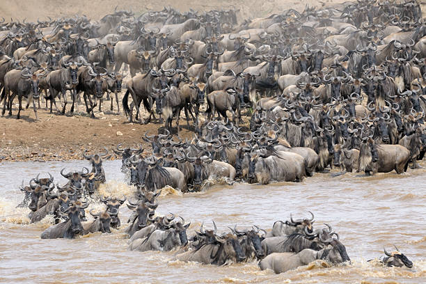 Great Migration